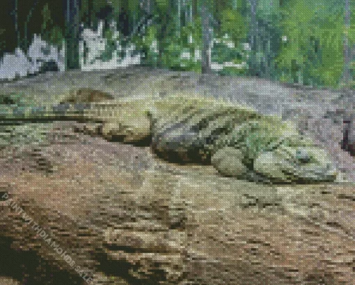 Grand Cayman Blue Iguana Diamond Painting