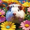 Guinea Pig In Flowers Diamond Painting