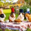 Guinea Pigs Party Diamond Painting