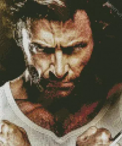 Hugh Jackman In Wolverine Diamond Painting