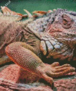 Iguana Animal Diamond Painting