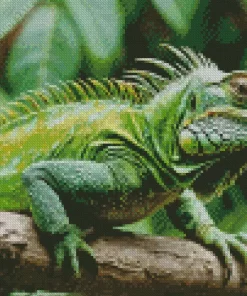 Iguana Reptile Diamond Painting