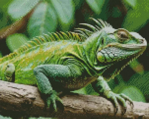 Iguana Reptile Diamond Painting