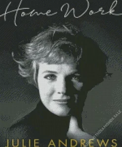 Julie Andrews Posters Diamond Painting