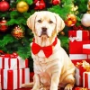 Labrador Dog With Christmas Gifts Diamond Painting