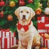 Labrador Dog With Christmas Gifts Diamond Painting