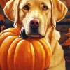 Labrador Dog With Pumpkin Diamond Painting