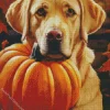 Labrador Dog With Pumpkin Diamond Painting