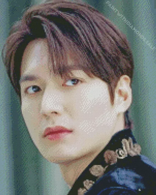 Lee Minho Diamond Painting