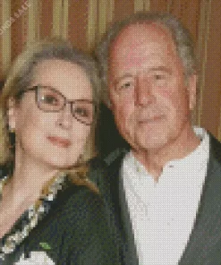 Meryl Streep And Don Gummer Diamond Painting