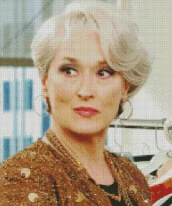 Meryl Streep With Short Hair Diamond Painting