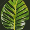 Monstera Leaf Diamond Painting