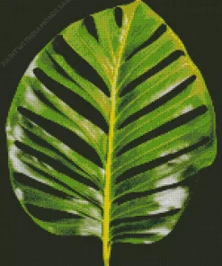 Monstera Leaf Diamond Painting