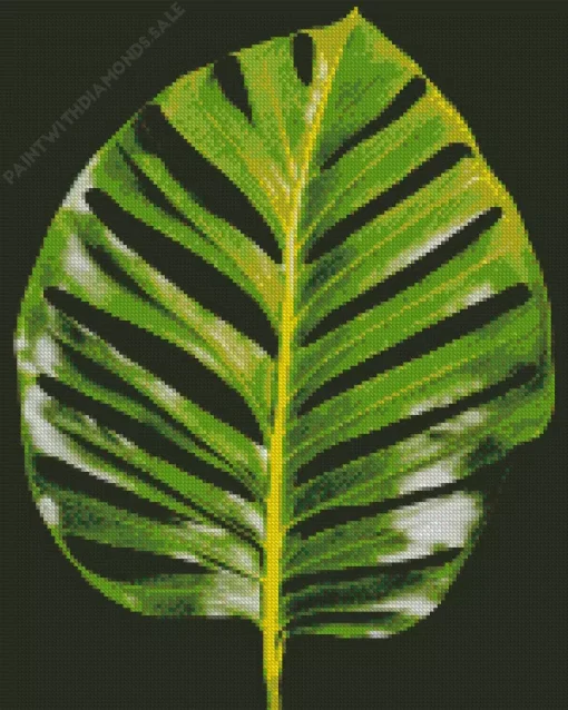 Monstera Leaf Diamond Painting