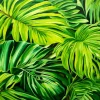 Monstera Leaves Diamond Painting