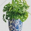 Monstera Plant In A Blue Vase Diamond Painting