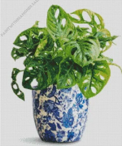 Monstera Plant In A Blue Vase Diamond Painting