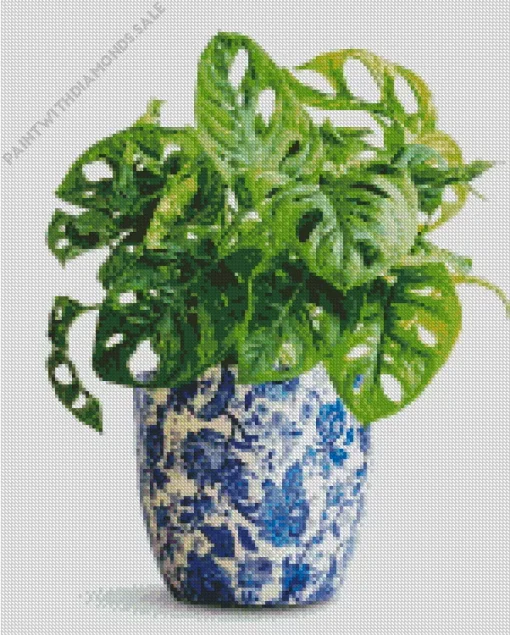 Monstera Plant In A Blue Vase Diamond Painting