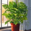 Monstera Plant Pot Diamond Painting