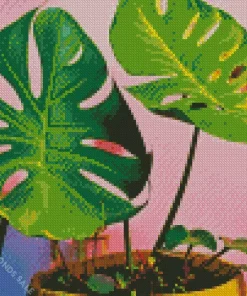 Monstera Plants Diamond Painting