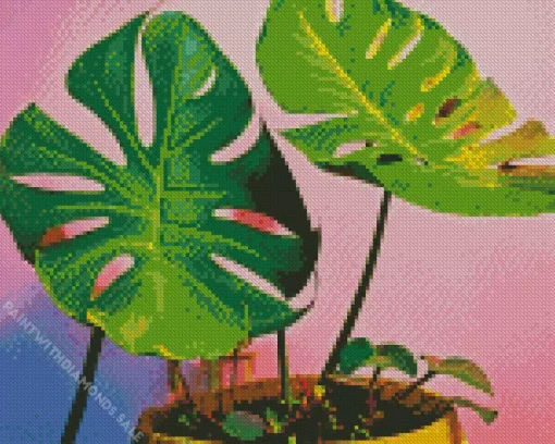 Monstera Plants Diamond Painting