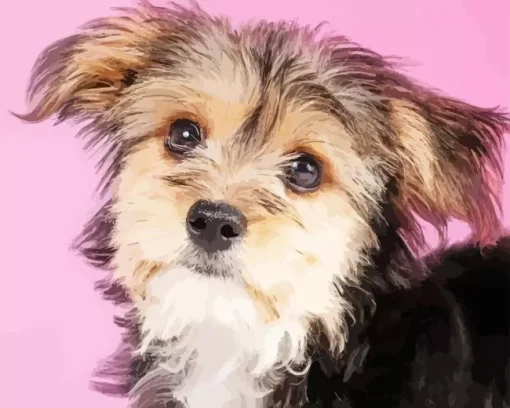 Morkie Dog Diamond Painting