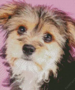 Morkie Dog Diamond Painting