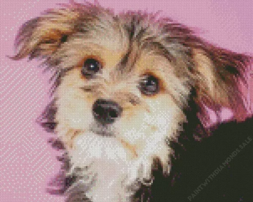 Morkie Dog Diamond Painting