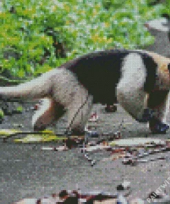 Northern Tamandua Diamond Painting