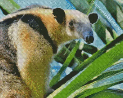 Northern Tamandua Animal Diamond Painting