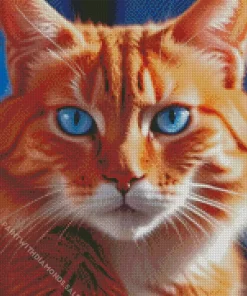 Orange Cat With Blue Eyes Diamond Painting