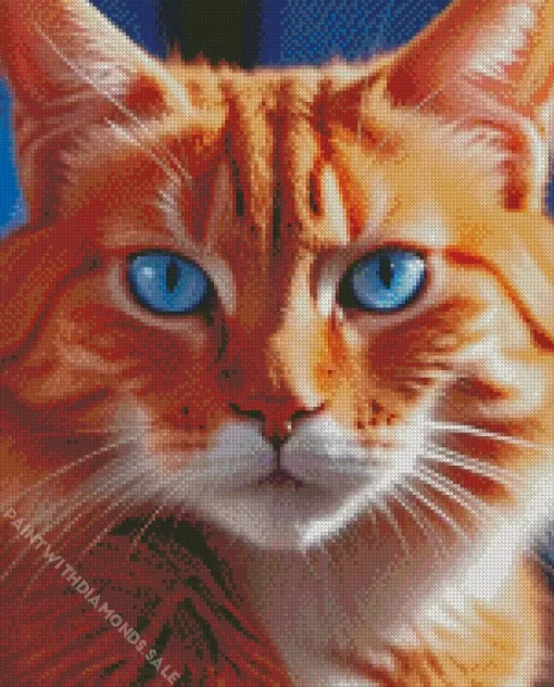 Orange Cat With Blue Eyes Diamond Painting