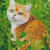 Orange Cat With Green Eyes Diamond Painting