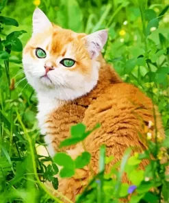 Orange Cat With Green Eyes Diamond Painting