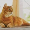 Orange Cat Laying Down Diamond Painting