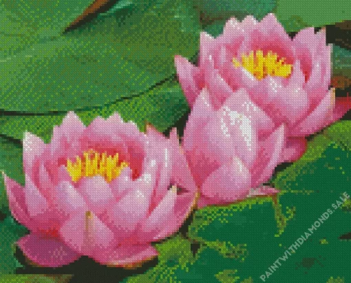 Plant Flower Aquatic Plant Water lily Diamond Painting