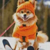 Pomeranian Skiing Diamond Painting