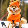 Pomeranian Skiing Diamond Painting