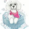 Poodle In Bath Diamond Painting