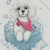 Poodle In Bath Diamond Painting