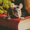 Rat On A Book Diamond Painting