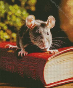 Rat On A Book Diamond Painting