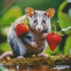 Rat With Strawberries Diamond Painting