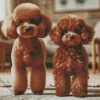 Red Toy Poodles Diamond Painting