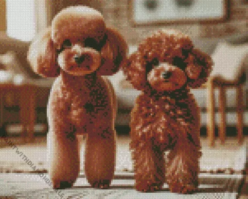 Red Toy Poodles Diamond Painting