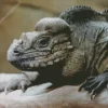 Rhino Iguana Diamond Painting