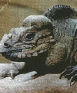 Rhino Iguana Diamond Painting