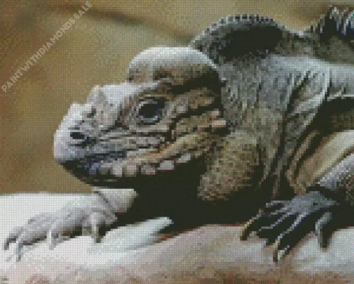 Rhino Iguana Diamond Painting