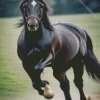 Running Black Horse Diamond Painting