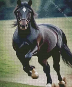 Running Black Horse Diamond Painting